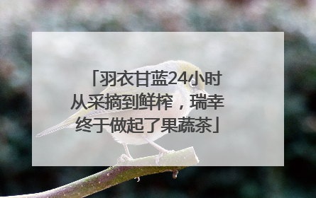 羽衣甘蓝24小时从采摘到鲜榨，瑞幸终于做起了果蔬茶
