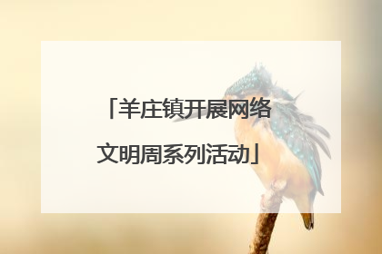羊庄镇开展网络文明周系列活动