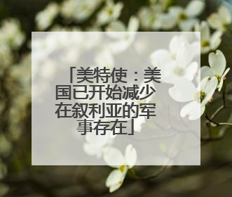 美特使：美国已开始减少在叙利亚的军事存在