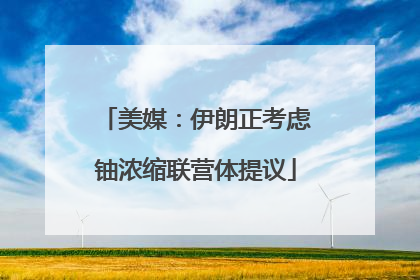 美媒：伊朗正考虑铀浓缩联营体提议