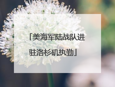 美海军陆战队进驻洛杉矶执勤