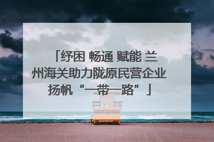 纾困 畅通 赋能 兰州海关助力陇原民营企业扬帆“一带一路”