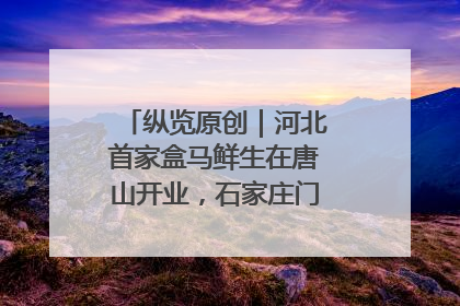 纵览原创｜河北首家盒马鲜生在唐山开业，石家庄门店预计8月开业