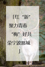 红“新”聚力青春 “梅”好共荣宁波慈城