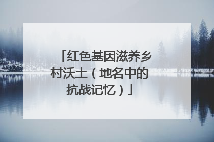 红色基因滋养乡村沃土（地名中的抗战记忆）