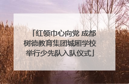 红领巾心向党 成都树德教育集团城厢学校举行少先队入队仪式
