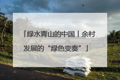 绿水青山的中国丨余村发展的“绿色变奏”