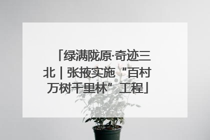绿满陇原·奇迹三北｜张掖实施“百村万树千里林”工程