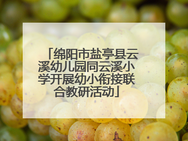 绵阳市盐亭县云溪幼儿园同云溪小学开展幼小衔接联合教研活动
