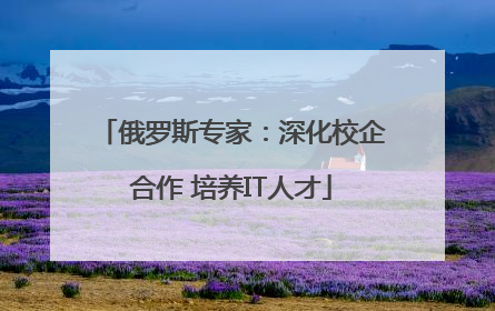 俄罗斯专家：深化校企合作 培养IT人才