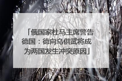 俄国家杜马主席警告德国：德向乌供武将成为两国发生冲突原因
