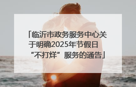 临沂市政务服务中心关于明确2025年节假日“不打烊”服务的通告