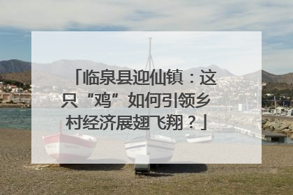 临泉县迎仙镇：这只“鸡”如何引领乡村经济展翅飞翔？