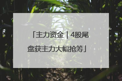主力资金｜4股尾盘获主力大幅抢筹