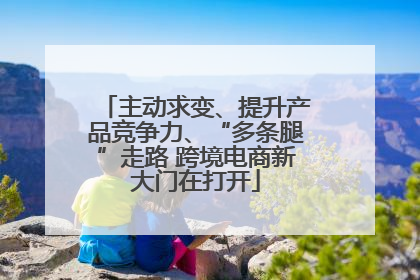 主动求变、提升产品竞争力、“多条腿”走路 跨境电商新大门在打开