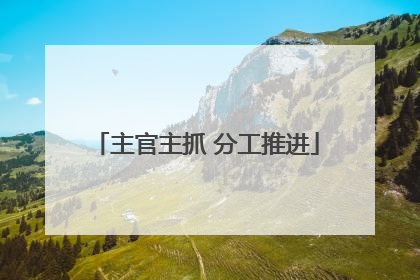 主官主抓 分工推进
