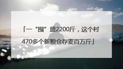 一“囤”盛2200斤，这个村470多个新粮仓存麦百万斤