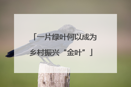 一片绿叶何以成为乡村振兴“金叶”