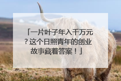 一片叶子年入千万元？这个日照青年的创业故事藏着答案！