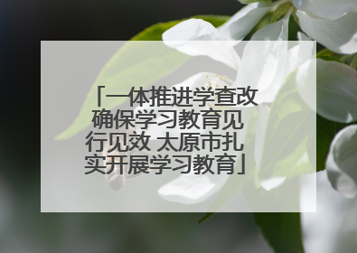 一体推进学查改 确保学习教育见行见效 太原市扎实开展学习教育