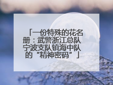 一份特殊的花名册：武警浙江总队宁波支队镇海中队的“精神密码”