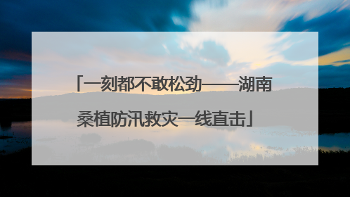 一刻都不敢松劲——湖南桑植防汛救灾一线直击