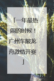 一年最热闹的时候！广州车陂龙舟激情开赛