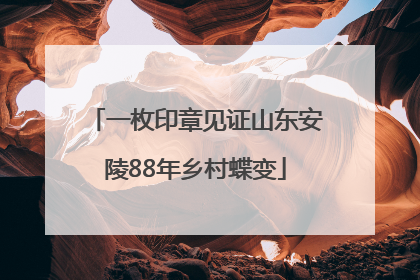 一枚印章见证山东安陵88年乡村蝶变