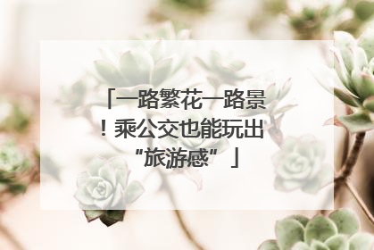一路繁花一路景！乘公交也能玩出“旅游感”