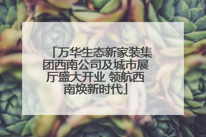 万华生态新家装集团西南公司及城市展厅盛大开业 领航西南焕新时代