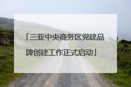 三亚中央商务区党建品牌创建工作正式启动
