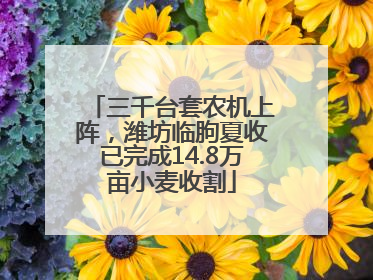 三千台套农机上阵，潍坊临朐夏收已完成14.8万亩小麦收割