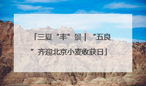 三夏“丰”景｜“五良”齐迎北京小麦收获日