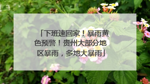 下班速回家！暴雨黄色预警！贵州大部分地区暴雨，多地大暴雨