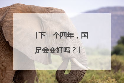 下一个四年，国足会变好吗？