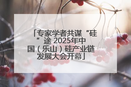 专家学者共谋“硅”途 2025年中国（乐山）硅产业链发展大会开幕