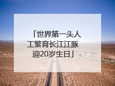 世界第一头人工繁育长江江豚迎20岁生日