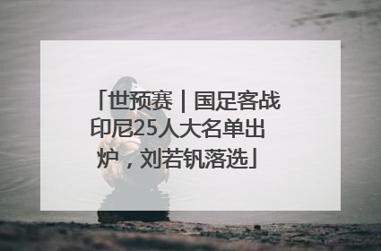 世预赛｜国足客战印尼25人大名单出炉，刘若钒落选