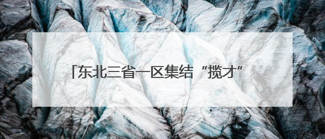 东北三省一区集结“揽才” 逾八千海内外博士奔赴而来