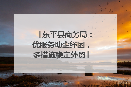 东平县商务局：优服务助企纾困，多措施稳定外贸