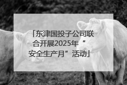 东津国投子公司联合开展2025年“安全生产月”活动