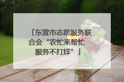 东营市志愿服务联合会“农忙来帮忙 服务不打烊”