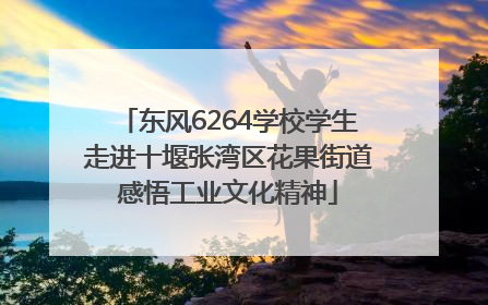 东风6264学校学生走进十堰张湾区花果街道感悟工业文化精神