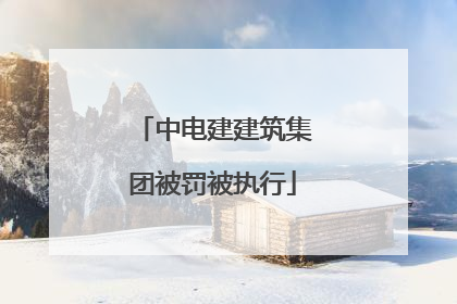 中电建建筑集团被罚被执行
