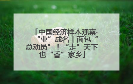 中国经济样本观察·一“业”成名丨面包“总动员”！“走”天下也“香”家乡