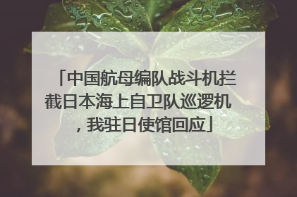 中国航母编队战斗机拦截日本海上自卫队巡逻机，我驻日使馆回应