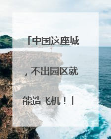 中国这座城，不出园区就能造飞机！