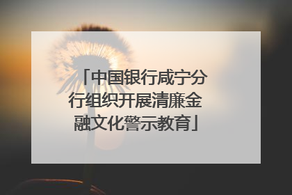中国银行咸宁分行组织开展清廉金融文化警示教育