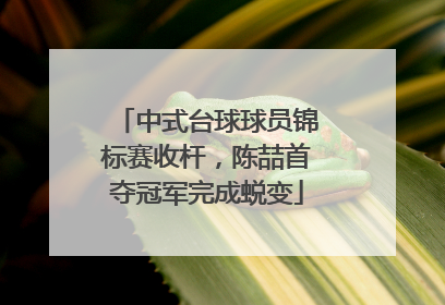 中式台球球员锦标赛收杆，陈喆首夺冠军完成蜕变