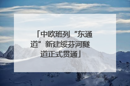中欧班列“东通道”新建绥芬河隧道正式贯通